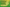 Balance Naturally with BP Care Juice: Ayurvedic Support for Healthy Blood Pressure &amp; Heart Wellness