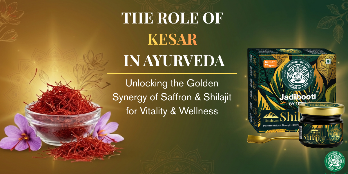 The Role of Kesar in Ayurveda: Why Saffron is Considered a Premium Herb and How It Complements Shilajit