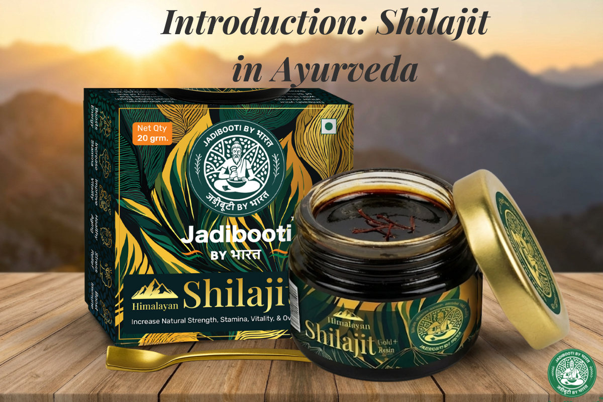 Introduction: Shilajit in Ayurveda
