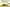 Ayurvedic Skincare from Within