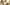 Triphala: The Ancient Superfood for Digestion – Benefits, Usage, and Why Jadibooti by Bharat’s Triphala Jeevan Booti Stands Out