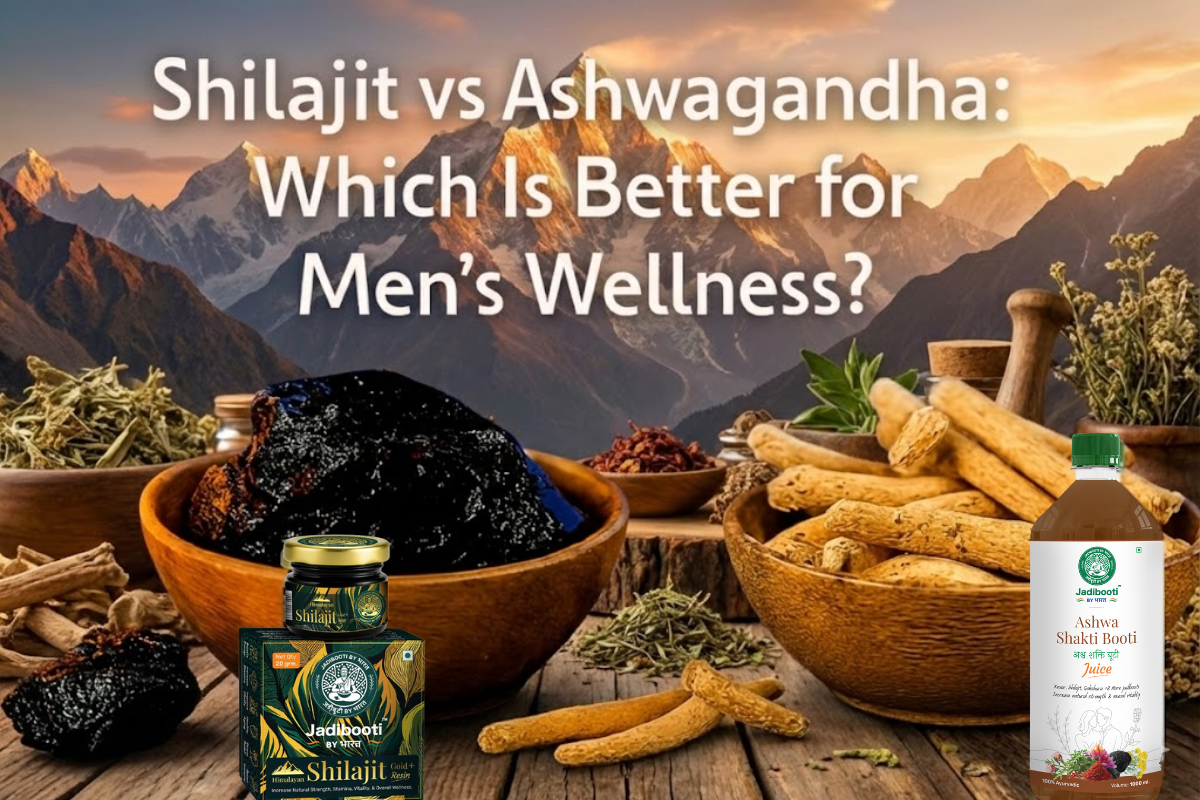 Shilajit vs Ashwagandha