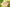 Ayurvedic Anti‑Aging Solutions