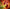 Promotion banner