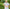 Promotion banner