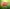 Promotion banner