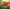 Promotion banner