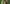 Video alt text