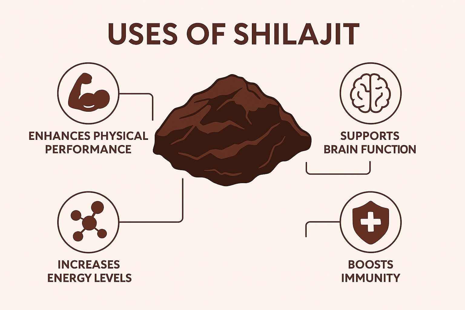 'Uses of Shilajit' featuring a central illustration of the dark brown resin surrounded by four icons and benefits: Enhances Exercise Performance (flexed arm), Supports Brain Function (brain icon), Reduces Inflammation (molecular icon), and Boosts Immunity