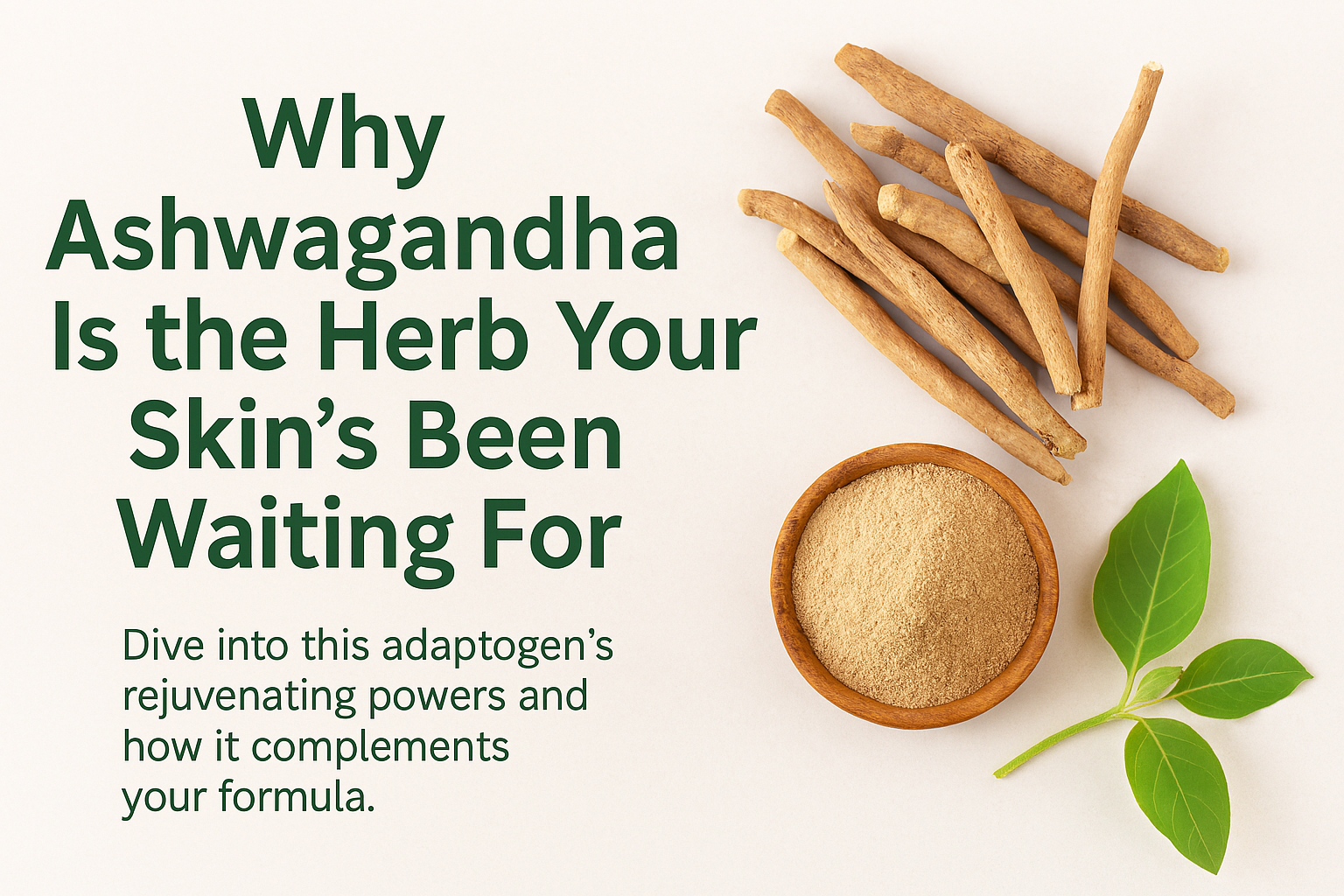 Ashwagandha roots, powdered Ashwagandha in a bowl, and green leaves arranged on a light background. Text reads: 'Why Ashwagandha Is the Herb Your Skin's Been Waiting For – Dive into the advantages, reparative powers and how it rejuvenates your lifestyle.'