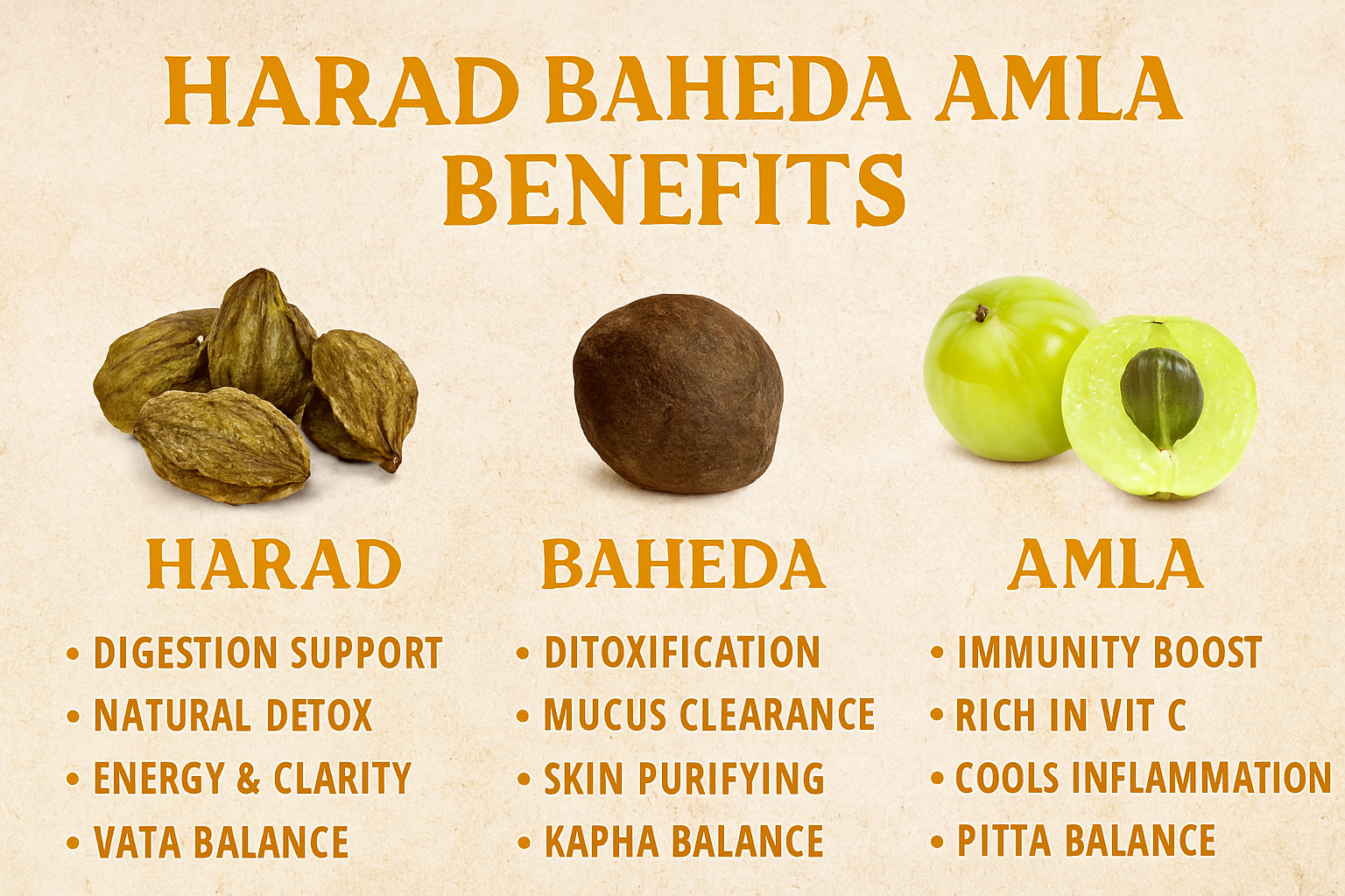 Infographic showing Harad, Baheda, and Amla fruits with labeled benefits on a natural background. Highlights digestive support, detoxification, immunity boost, and Ayurvedic synergy.