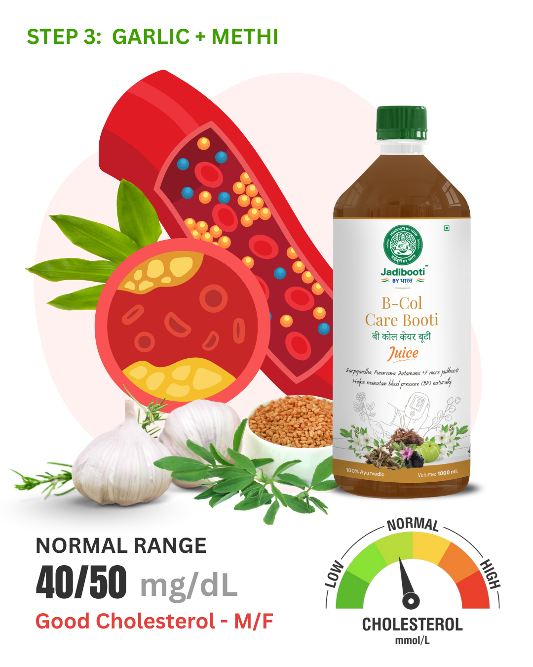 Artery illustration showing cholesterol plaque reduction with Garlic bulb and Fenugreek (Methi) seeds for healthy cholesterol balance