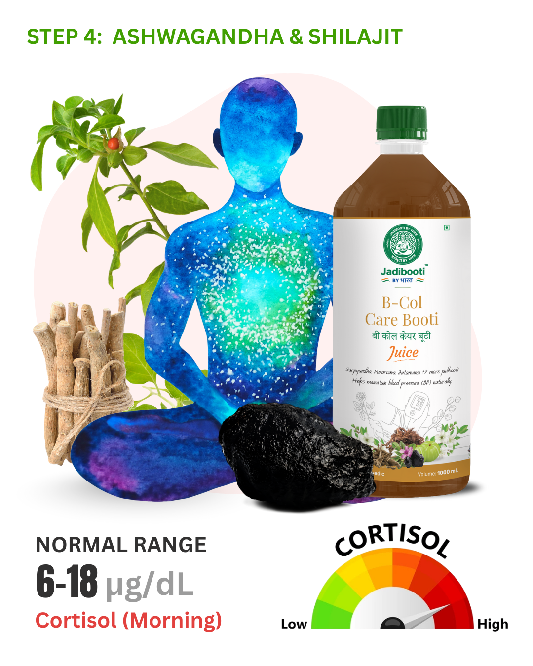 Glowing human silhouette with Ashwagandha roots and Shilajit resin symbolizing reduced stress and improved vitality