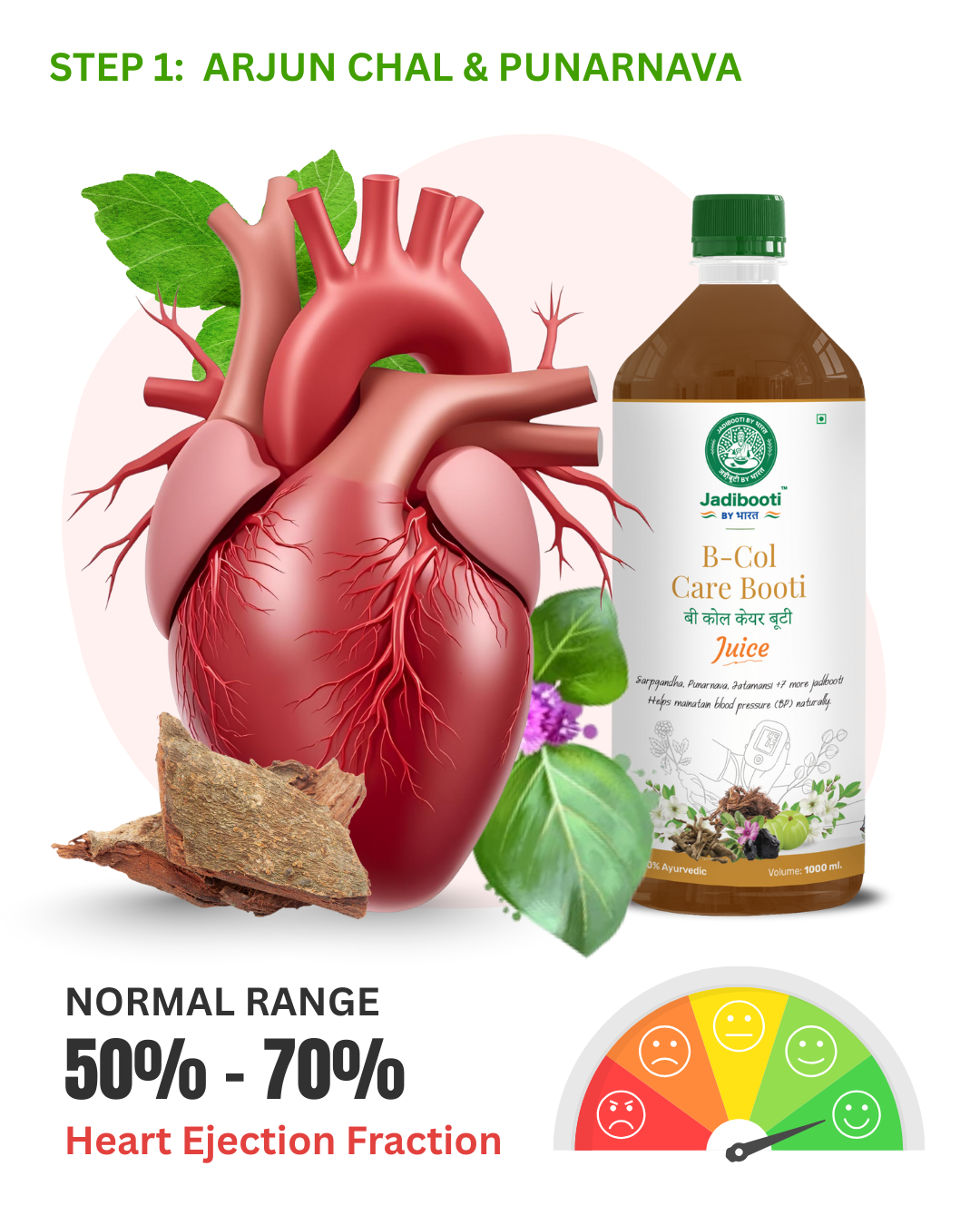 Healthy heart illustration with Arjun Chal bark and Punarnava plant showing improved circulation and normal heart function